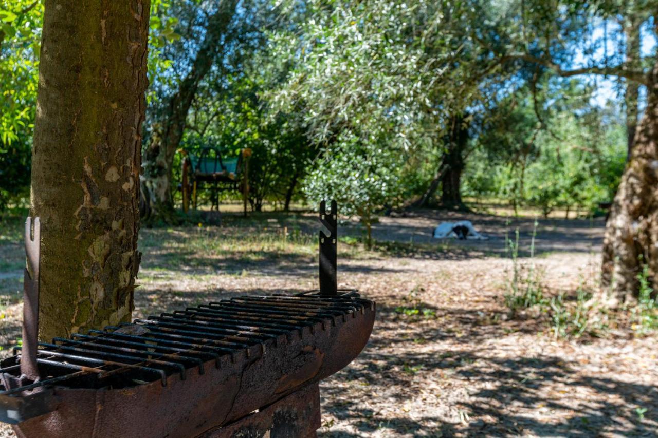 Chale Da Quinta "Lavoura Da Bouca - Fruta Bio" Guest House Селорику ди Бащу Екстериор снимка