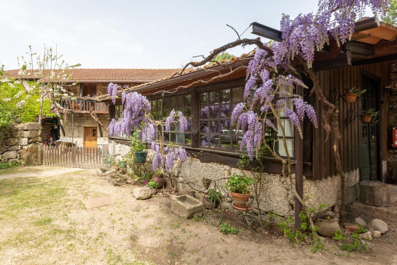 Chale Da Quinta "Lavoura Da Bouca - Fruta Bio" Guest House Селорику ди Бащу Екстериор снимка