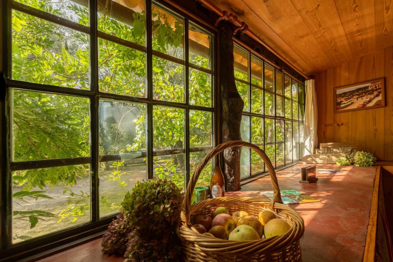 Chale Da Quinta "Lavoura Da Bouca - Fruta Bio" Guest House Селорику ди Бащу Екстериор снимка