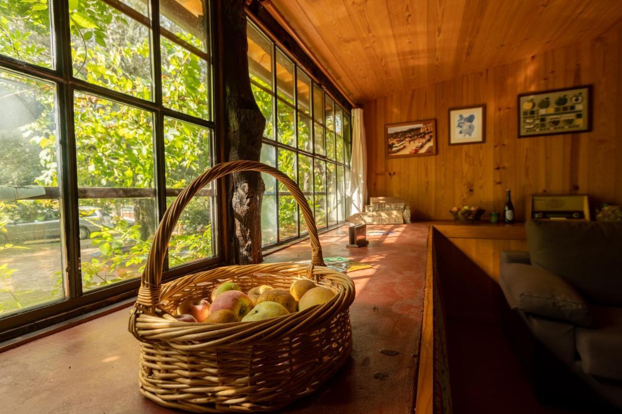 Chale Da Quinta "Lavoura Da Bouca - Fruta Bio" Guest House Селорику ди Бащу Екстериор снимка