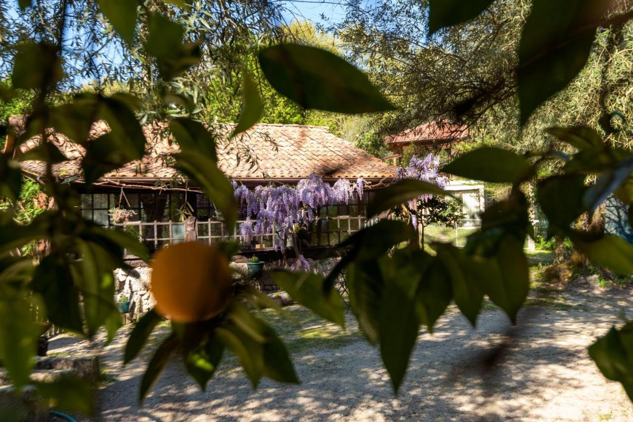 Chale Da Quinta "Lavoura Da Bouca - Fruta Bio" Guest House Селорику ди Бащу Екстериор снимка