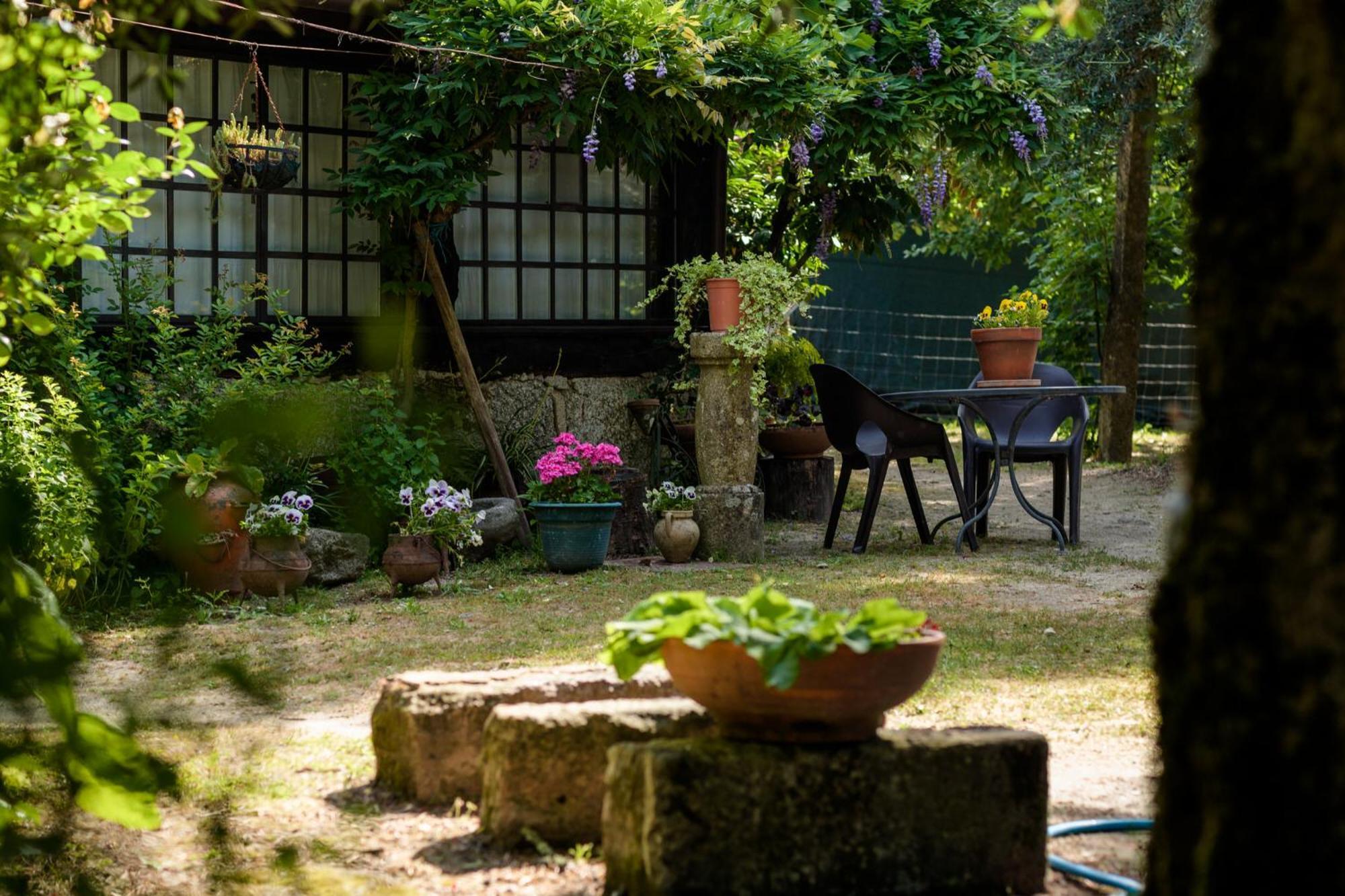 Chale Da Quinta "Lavoura Da Bouca - Fruta Bio" Guest House Селорику ди Бащу Екстериор снимка