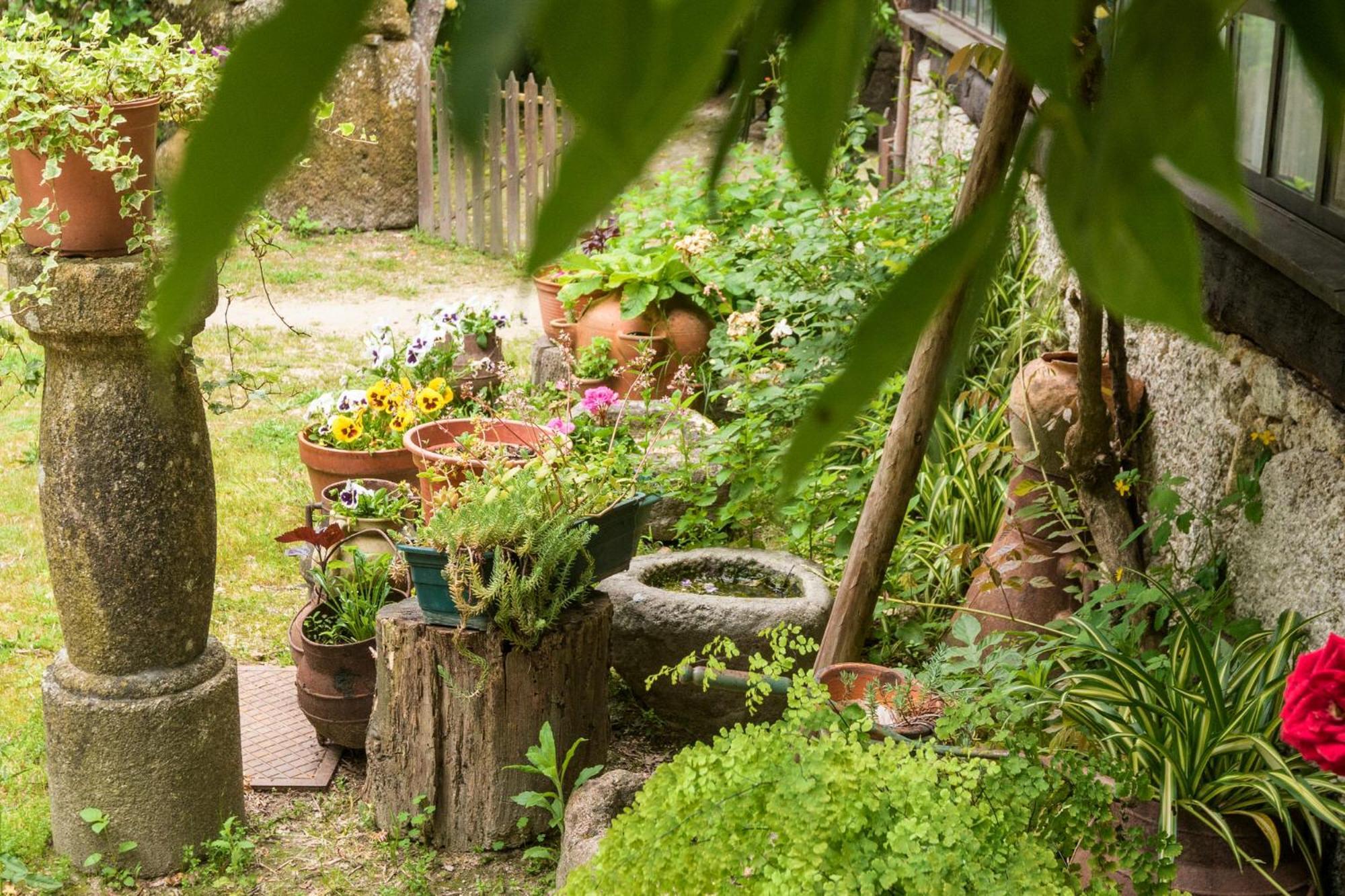 Chale Da Quinta "Lavoura Da Bouca - Fruta Bio" Guest House Селорику ди Бащу Екстериор снимка