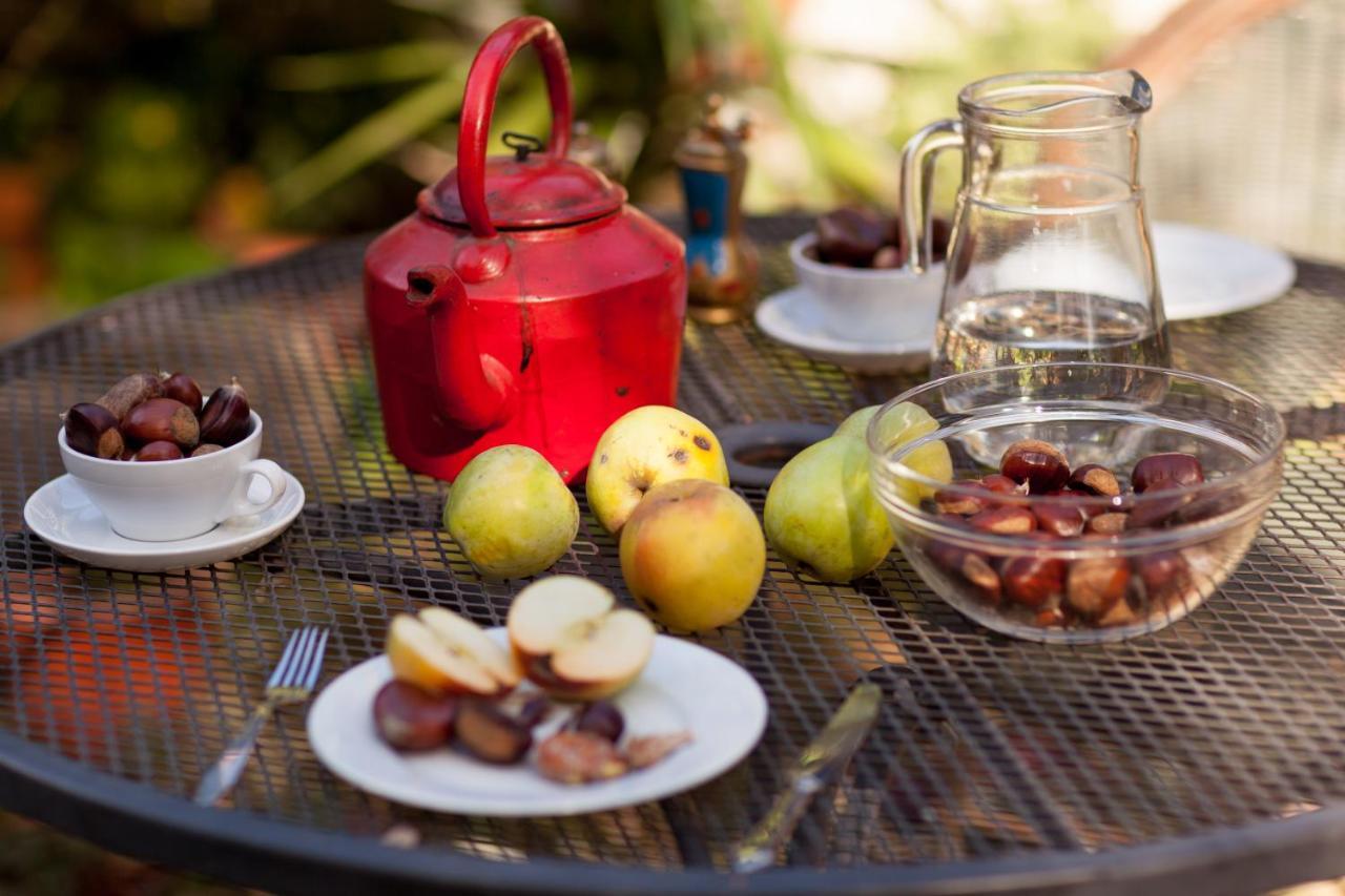 Chale Da Quinta "Lavoura Da Bouca - Fruta Bio" Guest House Селорику ди Бащу Стая снимка