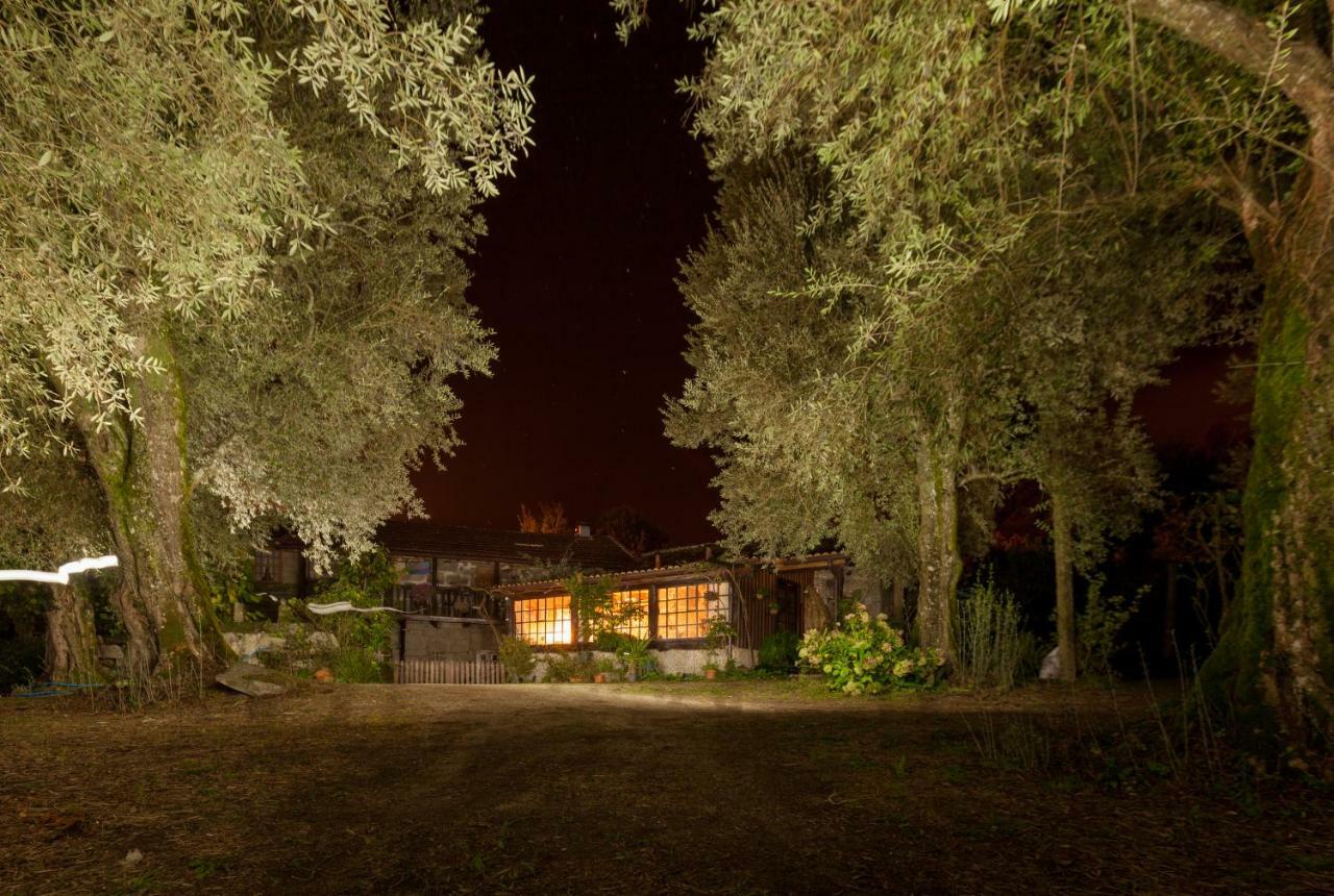 Chale Da Quinta "Lavoura Da Bouca - Fruta Bio" Guest House Селорику ди Бащу Екстериор снимка